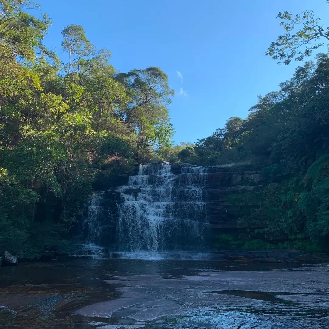 Cascada que cae en una poza en el bosque